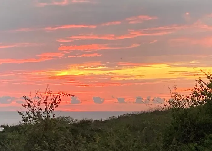 Pacific View In