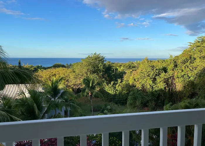 Apartment Pacific View In Playa Azul